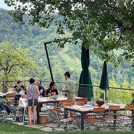 Agriturismo Le Noci Tarzo ภายนอก รูปภาพ