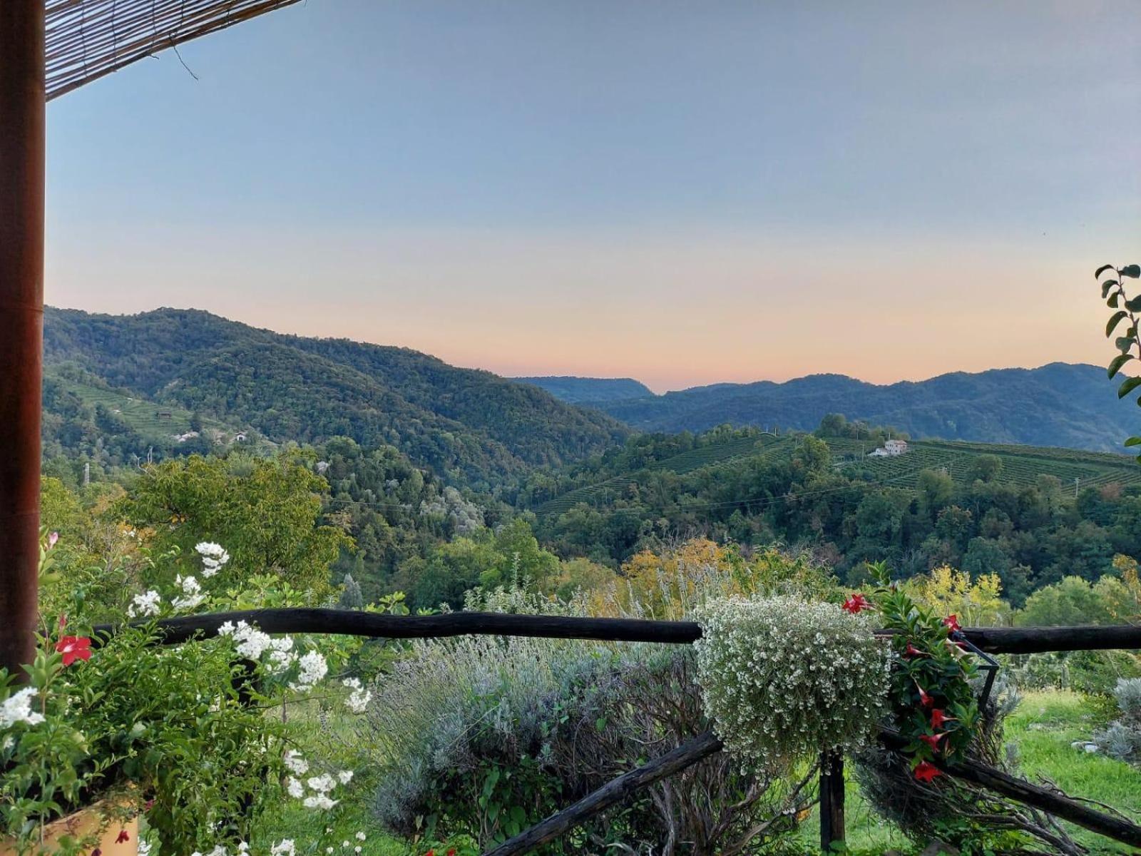 Agriturismo Le Noci Tarzo ภายนอก รูปภาพ
