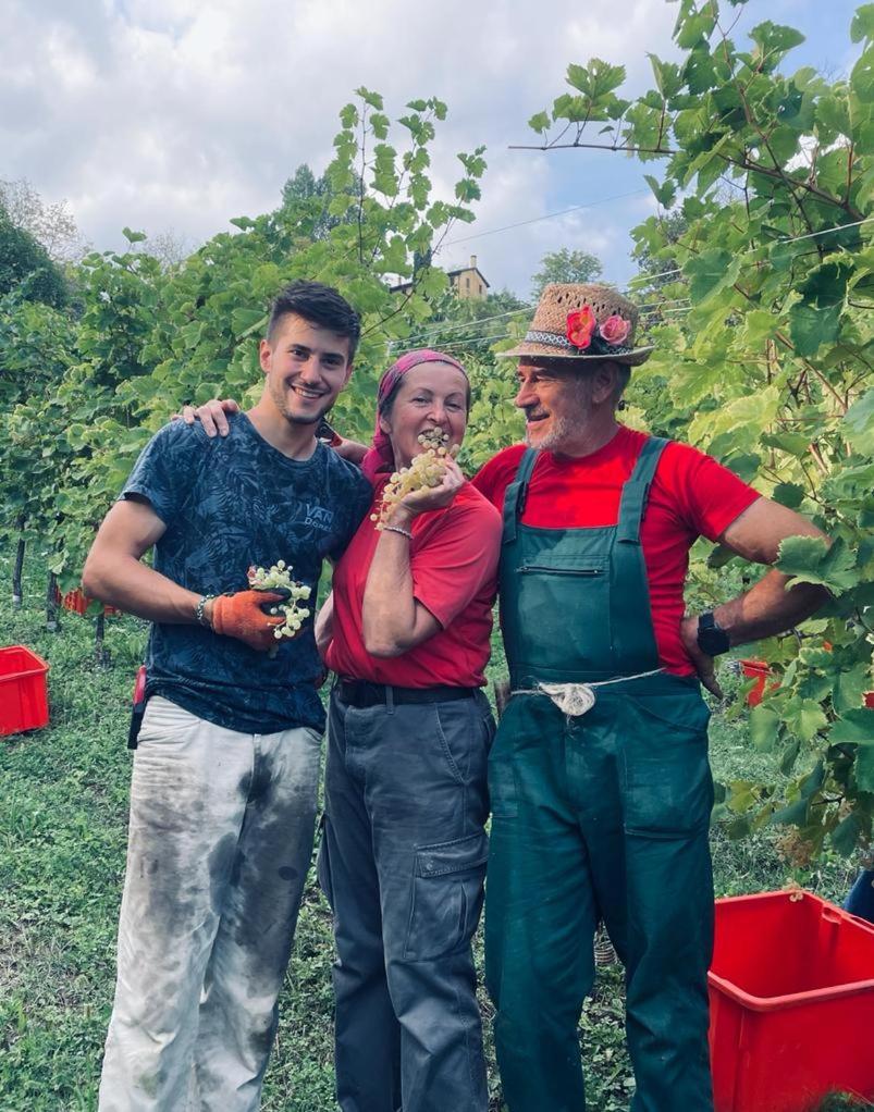 Agriturismo Le Noci Tarzo ภายนอก รูปภาพ