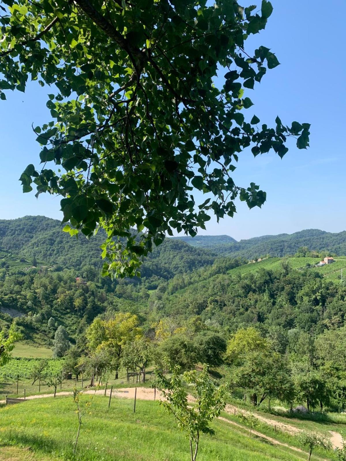 Agriturismo Le Noci Tarzo ภายนอก รูปภาพ