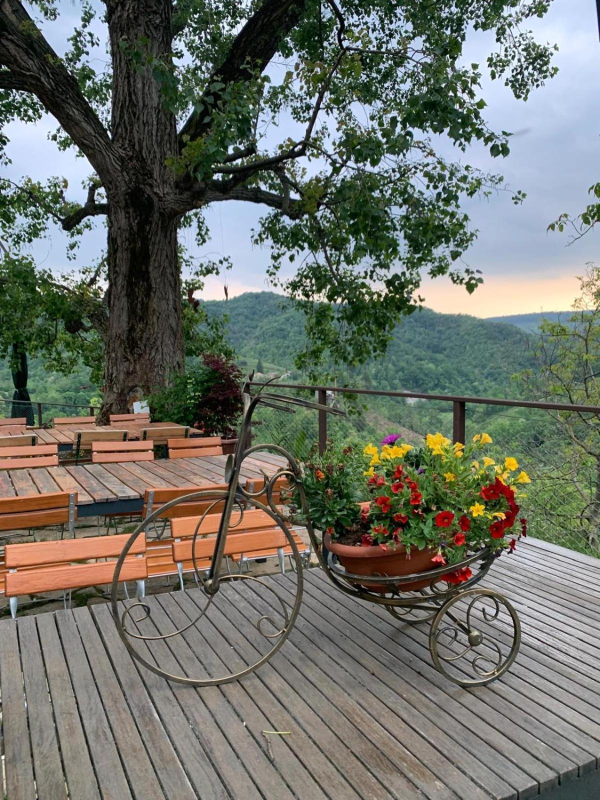 Agriturismo Le Noci Tarzo ภายนอก รูปภาพ