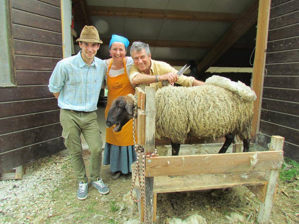 Agriturismo Le Noci Tarzo ภายนอก รูปภาพ